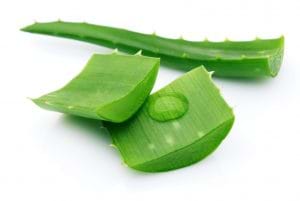 Tinh chất Aloe Vera chiết xuất từ lá lô hội là thành phần thường thấy trong gel trị thâm mụn tốt.