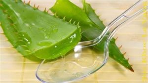 Trị thâm bằng nha đam hiệu quả với một số nguyên liệu đơn giản