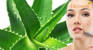 4 cách trị thâm mụn bằng nha đam hiệu quả, nhanh chóng