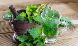 Phương pháp trị mụn hiệu quả bất ngờ với lá bạc hà tươi mát