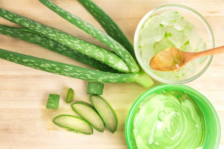 Cách làm mặt nạ trị mụn bằng nha đam – phục hồi kể cả làn da hư tổn nhất