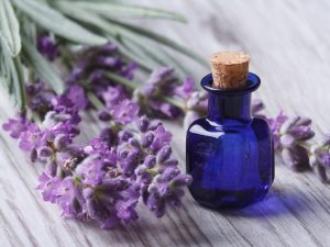 4 nguyên liệu nhất định phải có nếu muốn trị mụn tận gốc