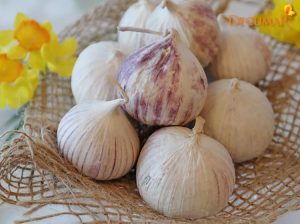 Top 9+ công thức trị thâm sẹo từ thiên nhiên hiệu quả nhất