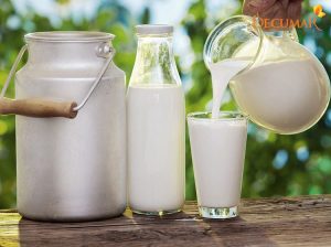 Lấy lại làn da trắng sáng với 7+ cách dùng sữa tươi trị thâm mụn tốt nhất